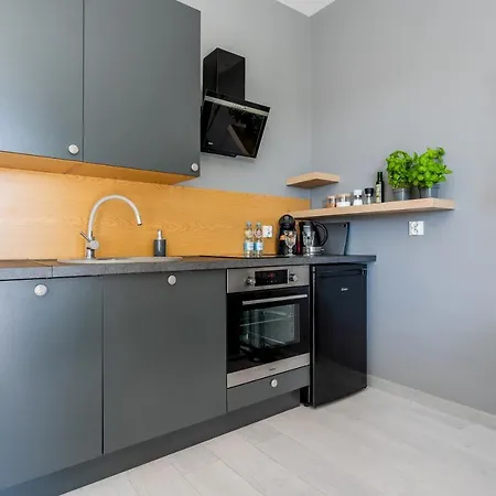 Lägenhet Ukiel Park 30 Przy Plazy Miejskiej - Klimatyzacja,free Parking,fv