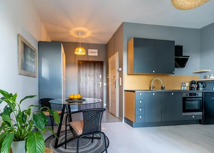 Ukiel Park 30 Przy Plazy Miejskiej - Klimatyzacja,free Parking,fv Apartment Olsztyn (Warmian-Masurian)